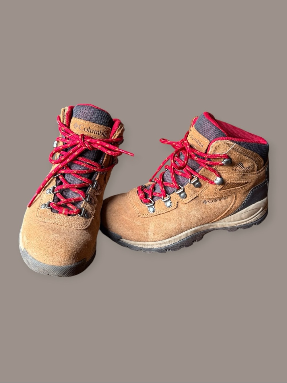 Columbia Women's Newton Ridge Plus Waterproof Amped Hiking Boot